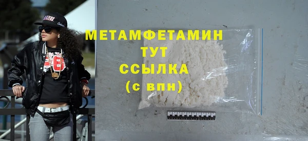 прущие грибы Богданович