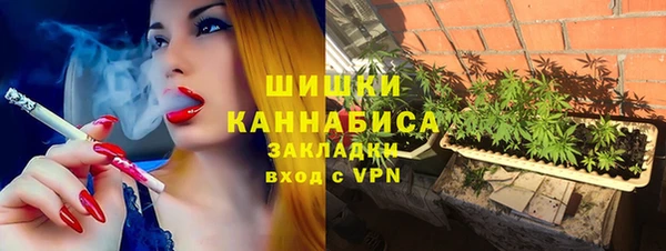 дурь Богородицк