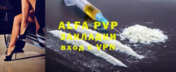 прущие грибы Богданович